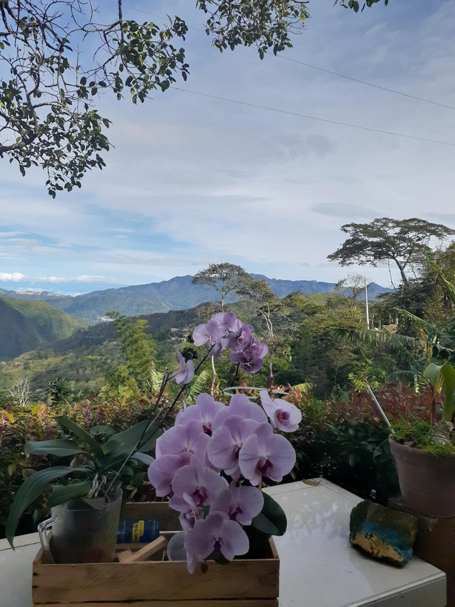 Guayabal de SíquimaCasa Finca El Girasol别墅 外观 照片