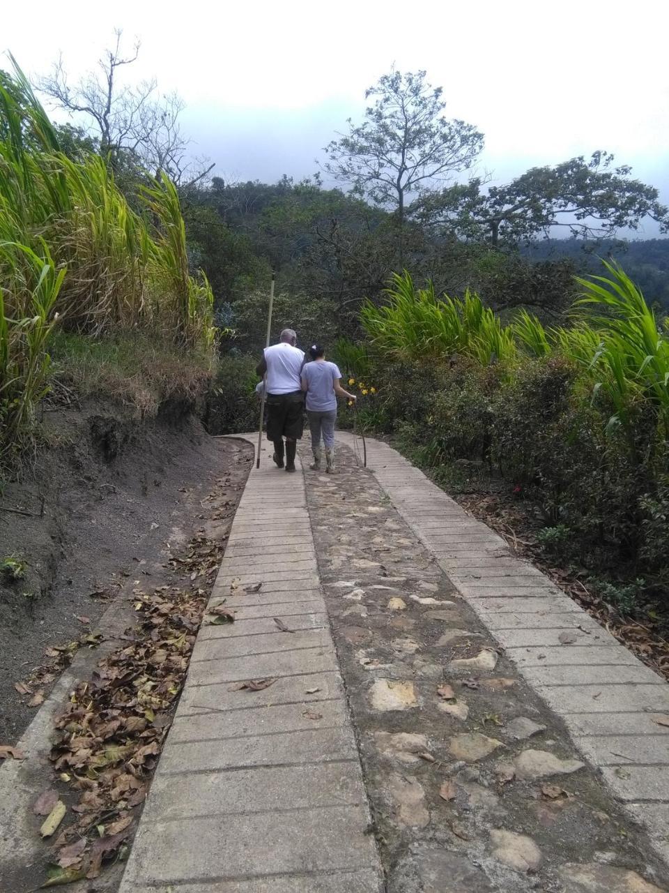 Guayabal de SíquimaCasa Finca El Girasol别墅 外观 照片